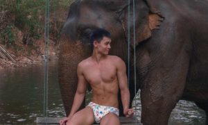 Gay Chiang Mai travel: Fit Asian man on a swing with an elephant. Things to do in Thailand. Gay travel advice.