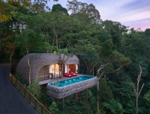 Keemala gay-friendly hotel. Treehouse villa with private pool in lush jungle. Luxury gay travel destination for discerning travelers.