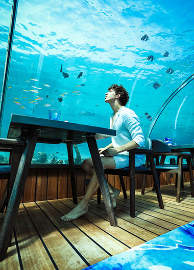 Undersea Restaurant Maldives Gay Friendly