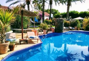Birdcage Gay Men Resort pool view. Relaxing gay men only hotel near Yumbo Center, Gran Canaria. Palm trees, sunbeds, and blue water.