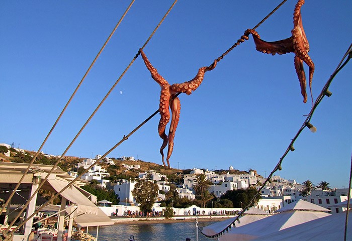 Must try dishes in Mykonos recommended by local gay travel experts