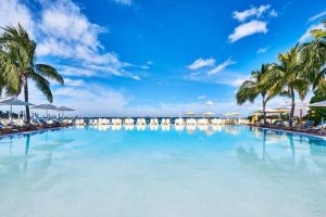 The Standard Miami gay-friendly hotel pool view. Palm trees, lounge chairs, and umbrellas line the pool's edge under a bright blue sky.