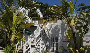 Wicker Guesthouse exterior. Gay-friendly hotel with tropical plants. White building with stairs. A great choice for gay men travelers.
