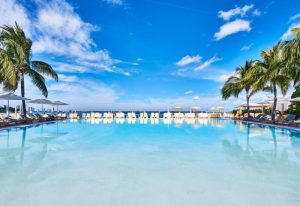 Gay Miami travel: Popular gay hotel pool view. Palm trees, blue sky, and lounge chairs create a relaxing atmosphere for gay travelers.
