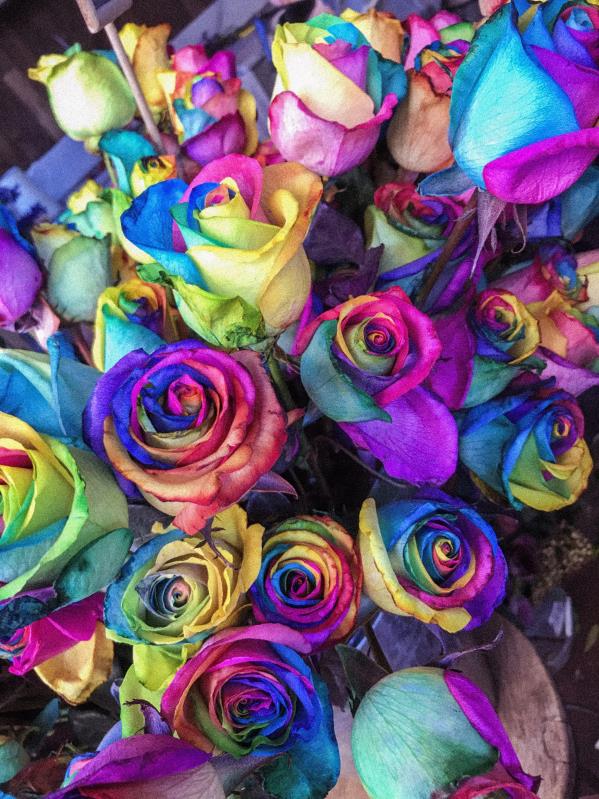 LGBT Flowers for Gays: A vibrant bouquet of rainbow roses, a symbol of love and pride, perfect for flower delivery to LGBT couples.