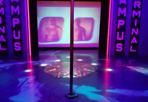 Interior of Campus, a gay strip bar in Montreal. A chrome pole stands center stage, with screens showing shirtless men. Neon lights add to the ambiance.