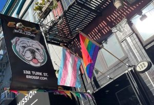 Eros at the Bulldog in San Francisco. Gay cruising spot with a bulldog logo, rainbow and trans flags. Gay travel advice for San Francisco.