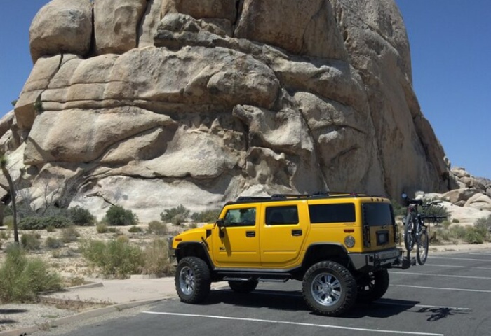 Palm Spring joshua tree national park tour Gay Friendly
