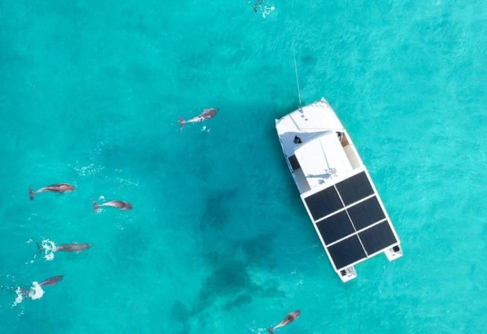 Key West dolphin snorkel gay friendly
