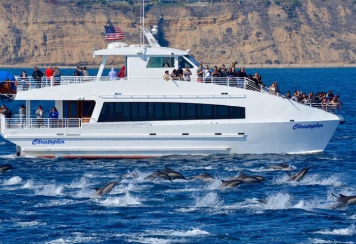 long beach whale watching gay-Friendly cruise