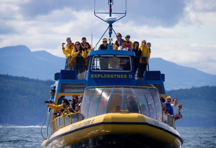 Vancouver Whale Ocean tour cruise gay