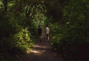 Best Amsterdam Cruising Guide Spots