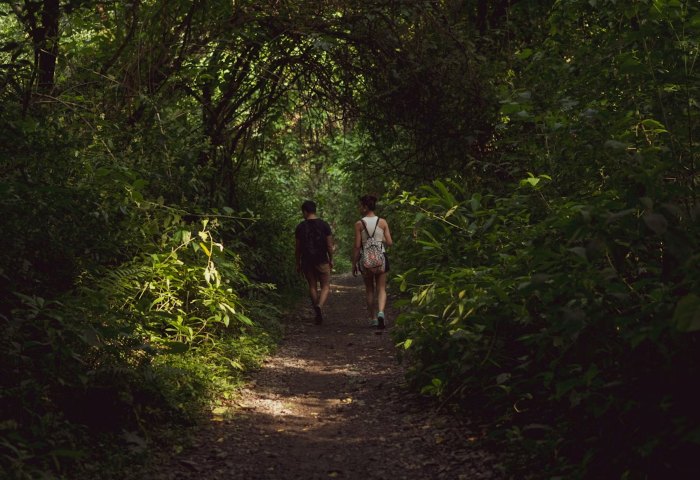 Best Amsterdam Cruising Guide Spots