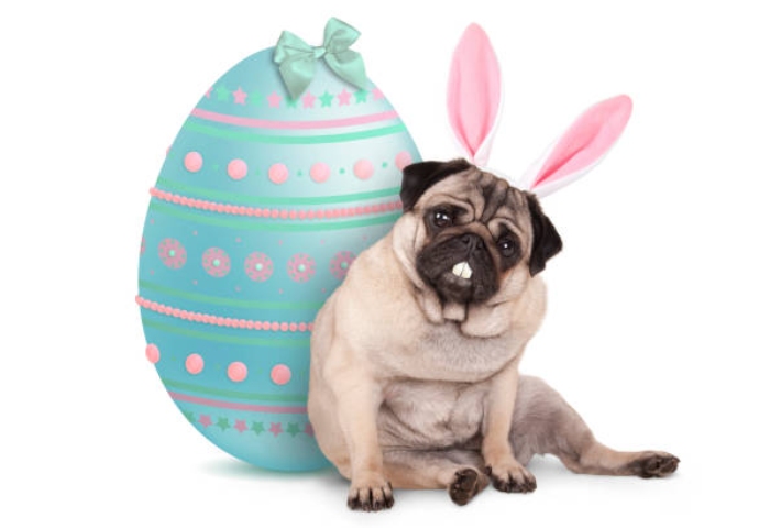 This Year Easter Pics Every Gay Needs in Their Life