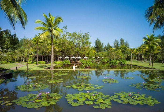 The Sarojin Khao Lak: Serene pond with lily pads reflects lush tropical landscape. Ideal gay travel destination for relaxation & natural beauty. 18352720.jpg