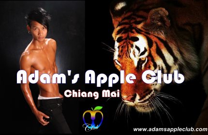 24.06.2018-Tiger-Asian-Boys-Adams-Apple-Club-Banner-2