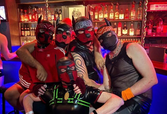 Best Fetish Puppy Hamburg Gay Cruise Clubs TOM'S Saloon