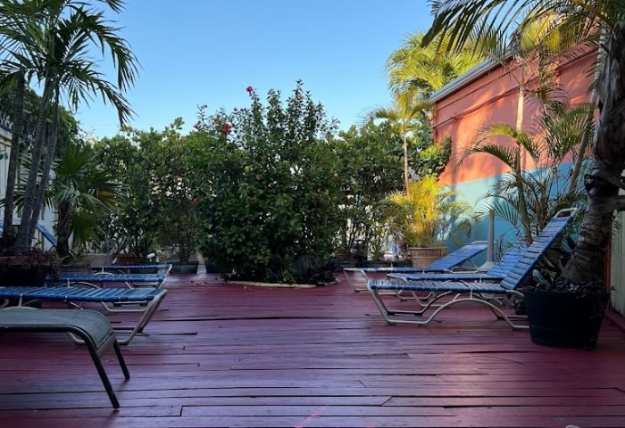 Club Aqua's lush deck with lounge chairs, palm trees, and tropical foliage. A relaxing gay travel destination in Key West, Florida. 5-14.jpg