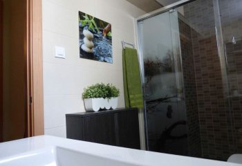 Bathroom interior at Baños Finisterre Gay Sauna in Mexico. Shower, cabinet, plant, and artwork create a relaxing spa atmosphere.