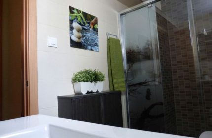 Bathroom interior at Baños Finisterre Gay Sauna in Mexico. Shower, cabinet, plant, and artwork create a relaxing spa atmosphere.