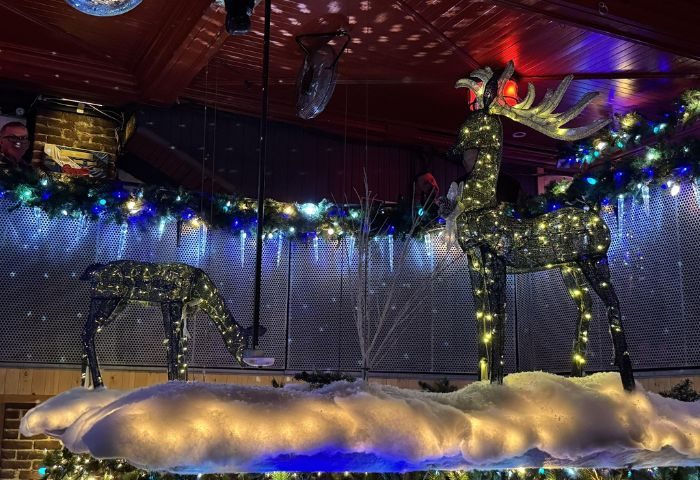 Festive decor at Bar Aigle Noir, a gay bar in Montreal. Reindeer figures sparkle with lights, creating a party atmosphere. Drinks & fun!
