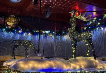 Festive decor at Bar Aigle Noir, a gay bar in Montreal. Reindeer figures sparkle with lights, creating a party atmosphere. Drinks & fun!