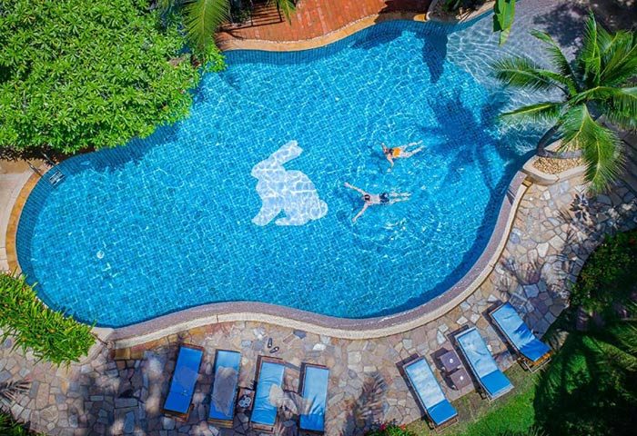 Rabbit Resort beachfront gay hotel pool view. People swimming in a rabbit-shaped pool at Dongtan Beach. Gay travel advice.