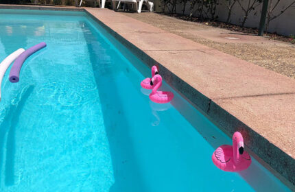 Paso Chico Gay Hotel pool in Playa del Ingles. Budget gay men-only hotel with pink flamingo floaties and pool noodles in the turquoise water.