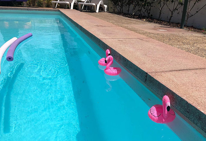 Paso Chico Gay Hotel pool in Playa del Ingles. Budget gay men-only hotel with pink flamingo floaties and pool noodles in the turquoise water.