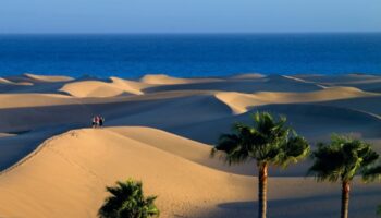 Seaside Palm Beach, Gran Canaria dunes. Gay beach hotel with palm trees, blue sea, and people on the dunes. Gay travel destination.
