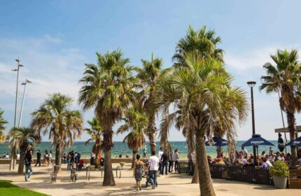 Saint Kilda Beach Hotel, a gay-friendly Melbourne spot. Palm trees line the beach where people stroll and relax at a beachfront cafe.