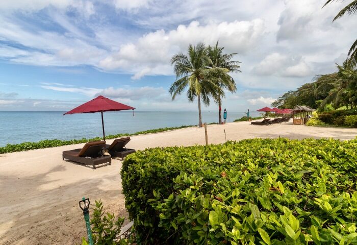 Beachfront at InterContinental Pattaya Resort, an IHG Hotel. Luxury gay travel destination with palm trees, umbrellas, and lounge chairs.