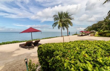 Beachfront at InterContinental Pattaya Resort, an IHG Hotel. Luxury gay travel destination with palm trees, umbrellas, and lounge chairs.