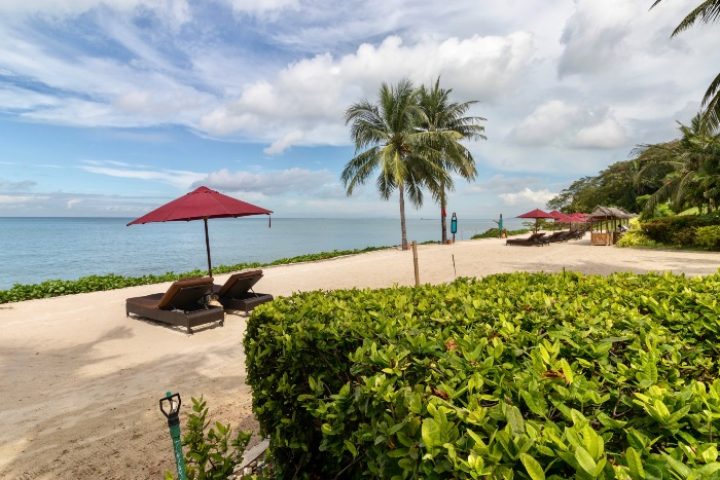 Beachfront at InterContinental Pattaya Resort, an IHG Hotel. Luxury gay travel destination with palm trees, umbrellas, and lounge chairs.