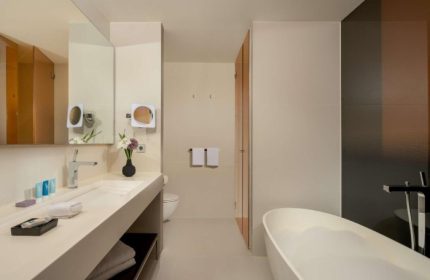 art'otel Amsterdam bathroom. Modern design with sink, mirror, tub, and toilet. Hotel near gay bars in Amsterdam for the best gay crowd.