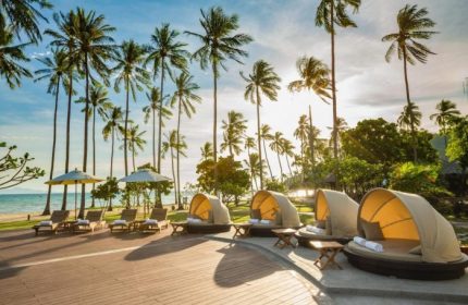SAii Phi Phi Island Village beachfront resort. Palm trees, sunbeds, and cabanas offer a relaxing gay holiday experience.