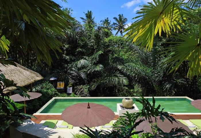 The Purist Villas & Spa Ubud pool view. Best gay Bali resort. Lush greenery surrounds the pool at this gay-friendly Ubud, Bali hotel.