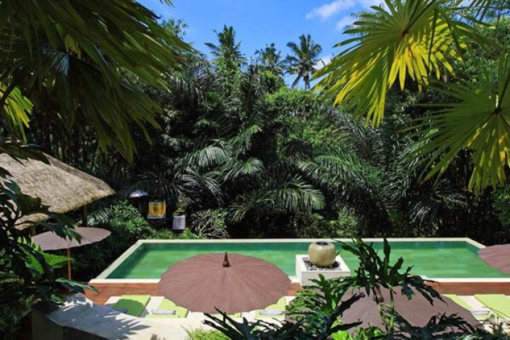The Purist Villas & Spa Ubud pool view. Best gay Bali resort. Lush greenery surrounds the pool at this gay-friendly Ubud, Bali hotel.