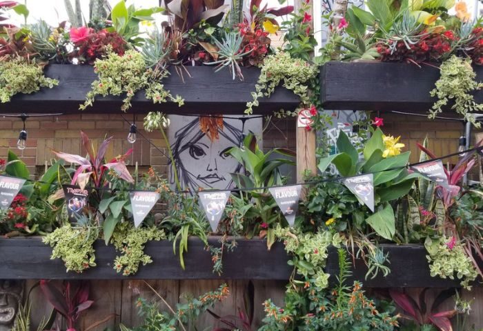 Bovine Sex Club in Toronto. Plants and flowers adorn a wall with a mural, creating a vibrant and inviting atmosphere for gay men travelers.