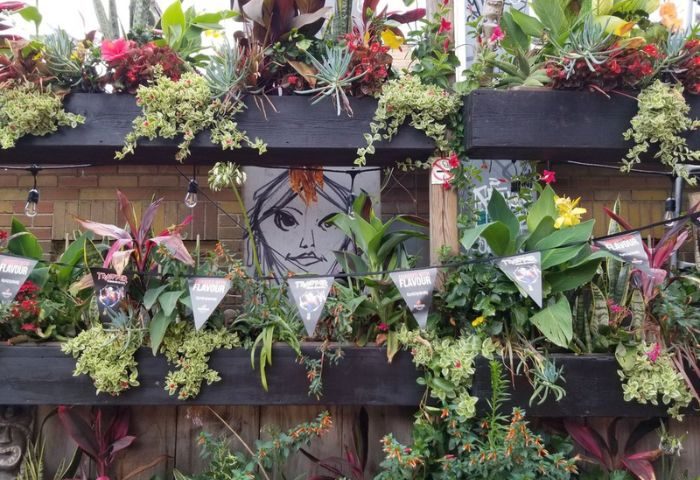 Bovine Sex Club in Toronto. Plants and flowers adorn a wall with a mural, creating a vibrant and inviting atmosphere for gay men travelers.