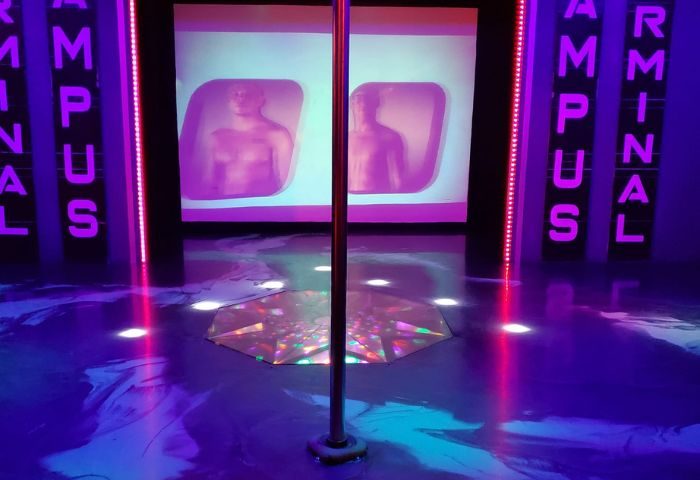 Interior of Campus, a gay strip bar in Montreal. A chrome pole stands center stage, with screens showing shirtless men. Neon lights add to the ambiance.