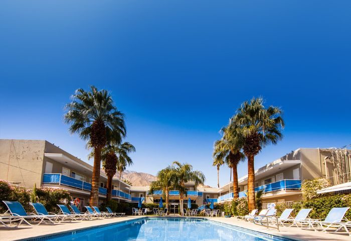 Canyon Club Hotel pool in Palm Springs, a gay accommodation. Loungers, palm trees, blue sky, and mountain backdrop. Gay travel destination.