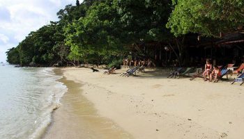 Phi Phi Relax Beach Resort beachfront view. Gay hotel list option with beach chairs, sand, and lush tropical trees. Relaxing vacation spot.