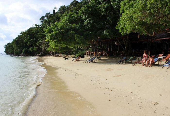 Phi Phi Relax Beach Resort beachfront view. Gay hotel list option with beach chairs, sand, and lush tropical trees. Relaxing vacation spot.