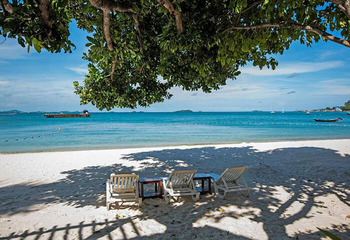 Samed Club Resort beachfront view. Koh Samet gay hotel with pool. Beach chairs under a tree. Popular gay travel destination.