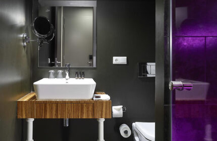 The Icon Hotel and Lounge bathroom. Modern design in Prague City Center. Gay hotel with shower, sink, and mirror. Cheap Old Town hotel.