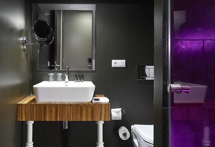 The Icon Hotel and Lounge bathroom. Modern design in Prague City Center. Gay hotel with shower, sink, and mirror. Cheap Old Town hotel.