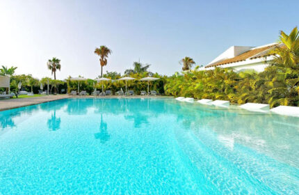 Seven Hotel Wellness, gay men only in Gran Canaria. Cheap price gay hotel with pools. Outdoor pool with palm trees and lounge chairs.