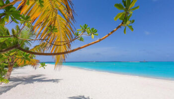 Gay travel: The Standard, Huruvalhi Maldives. Private island beach view with white sand, turquoise water, and palm trees. A tropical paradise.