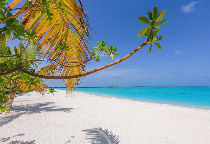 Gay travel: The Standard, Huruvalhi Maldives. Private island beach view with white sand, turquoise water, and palm trees. A tropical paradise.